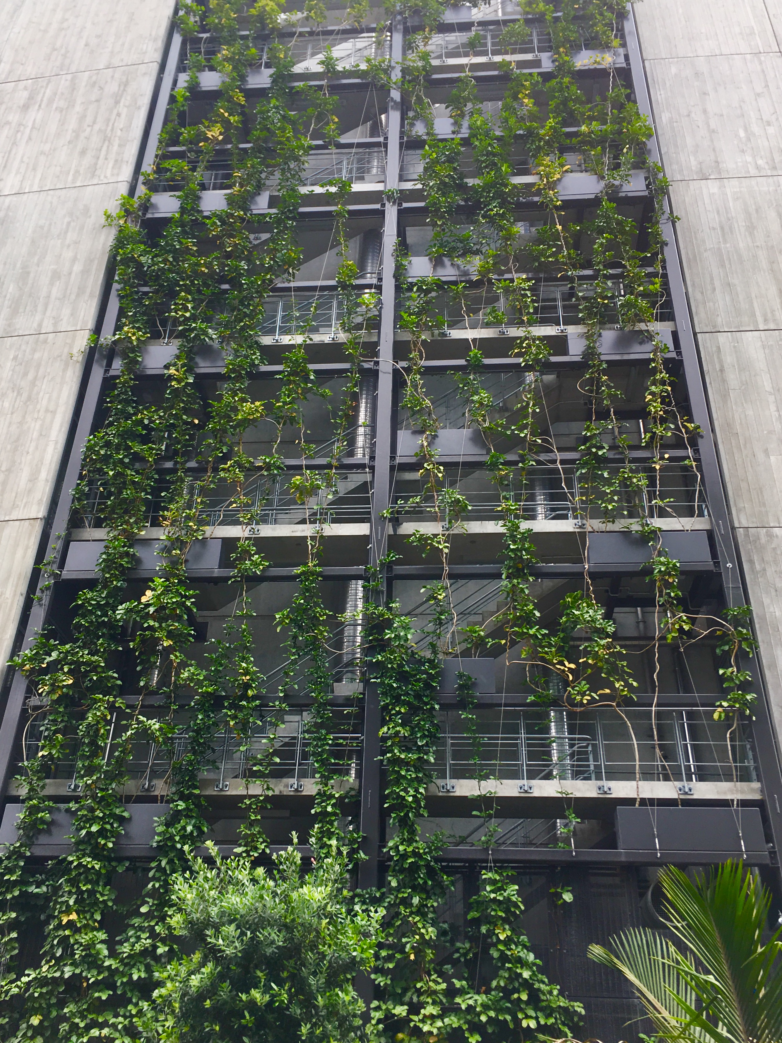 Fonterra Green Wall