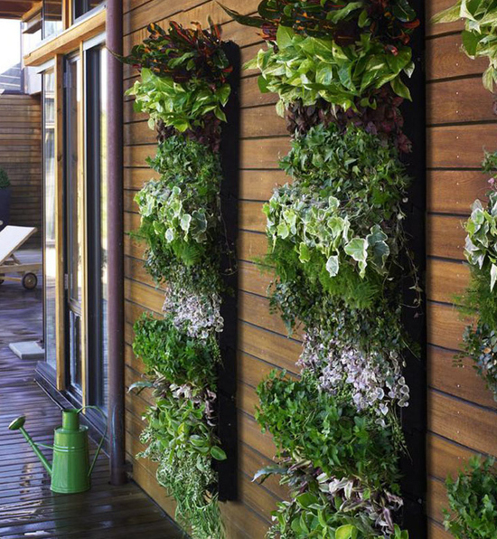 9 of the best vertical garden ideas