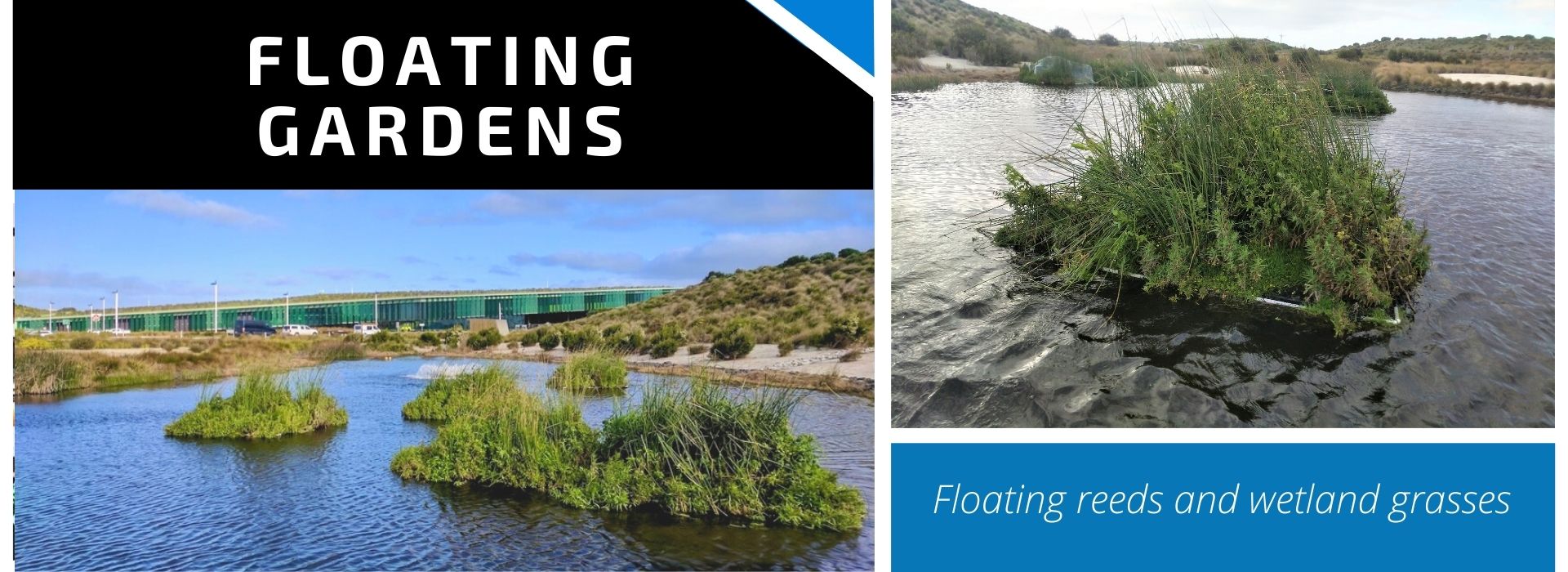 FLOATING GARDENS NEW Floating Gardens Banner