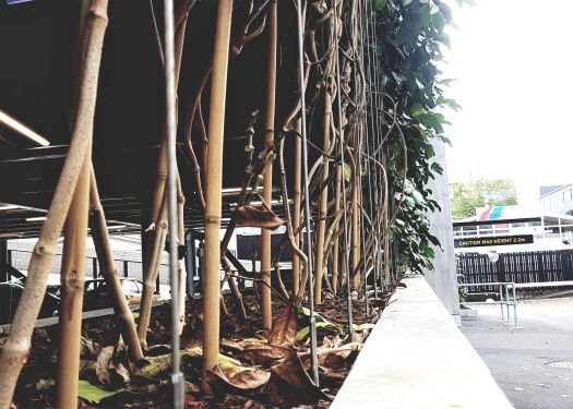 Planter Boxes Planter Boxes
