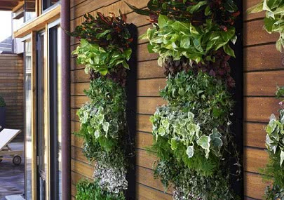 Vertical Gardens