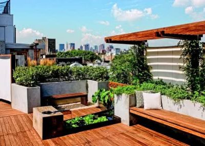 Roof garden on a sunny day