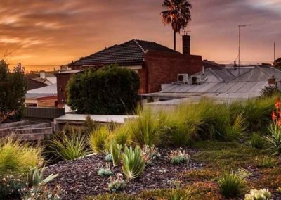 Roof garden at sunset