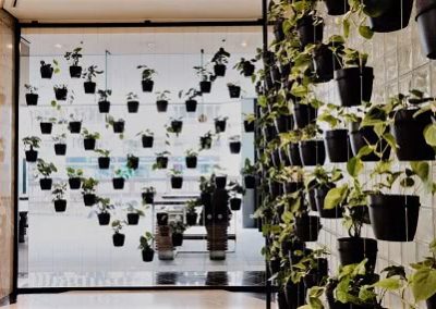 Stacked plant walls inside a building