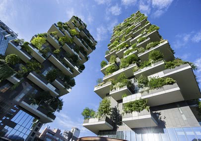 Vertical Gardens