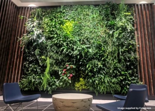 Vertical garden interior image