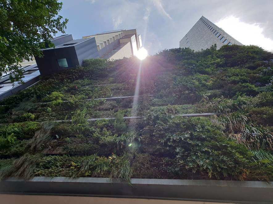 Ecologically Sustainable Green Wall