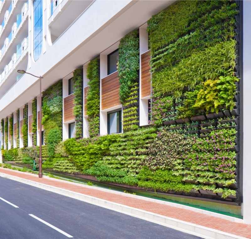 Green Wall on Office Building