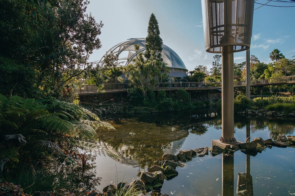 Auckland Zoo Boardwalk and Dome Image Credit Auckland Zoo