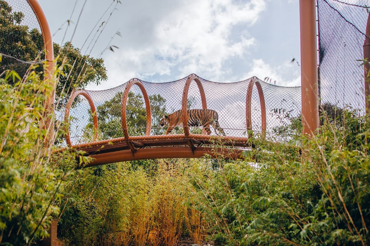 Rotating Doors on the Tiger Bridge. Credit Auckland Zoo