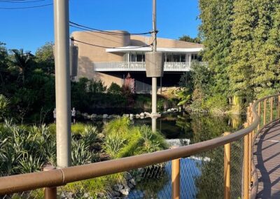 Auckland Zoo Boardwalk