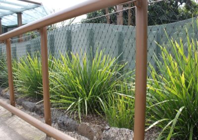 Auckland Zoo Boardwalk