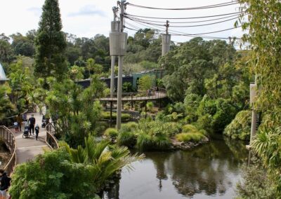 Auckland Zoo Boardwalk