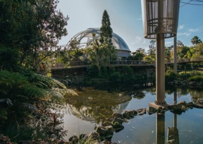 Auckland Zoo Boardwalk