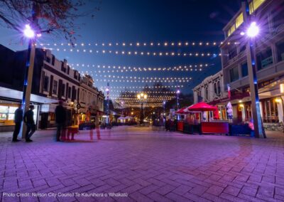 Nelson Catenary Lighting System Street View