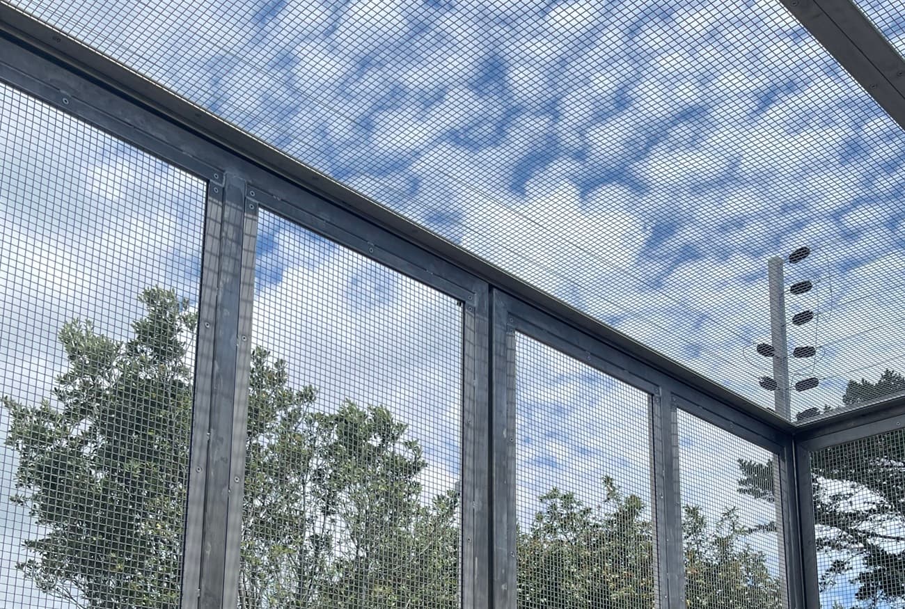 Auckland Zoo Aviary Project Banner